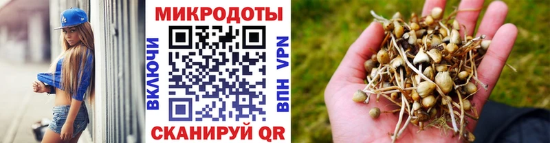 купить цена Люберцы Псилоцибиновые грибы мухоморы