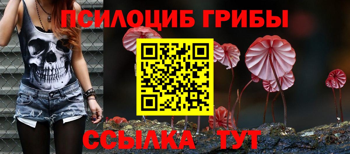 Псилоцибиновые грибы мицелий  Вход с VPN  Люберцы  Псилоцибиновые грибы Psilocybe 